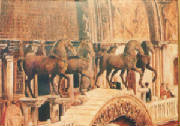 cavalos.jpg